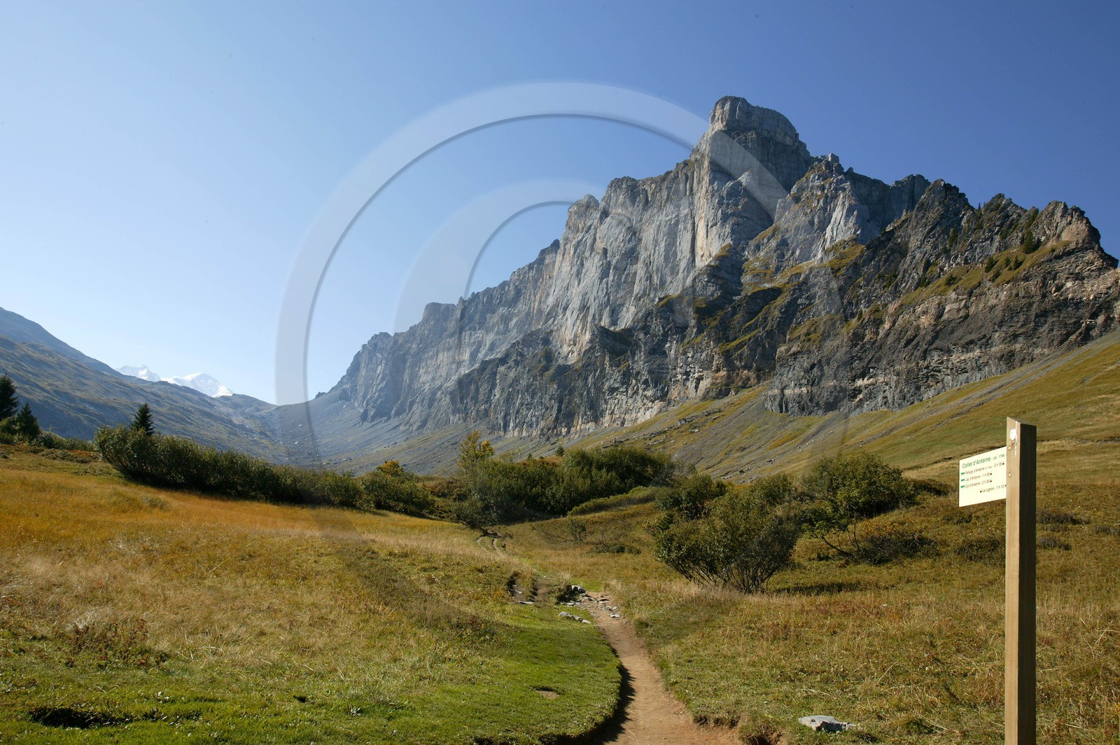 Réserve naturelle de Sixt-Passy