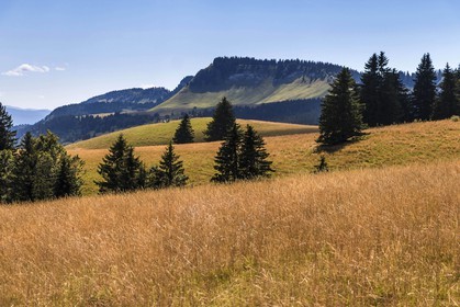 ENS de l'Isère, Plateau de la Molière et du Sornin, du plateau de Sornin