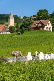 Domaine viticole Michel-Andreotti