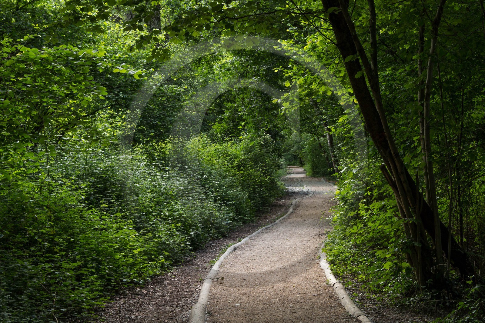 ENS de l'Isère, bois de la Bâtie