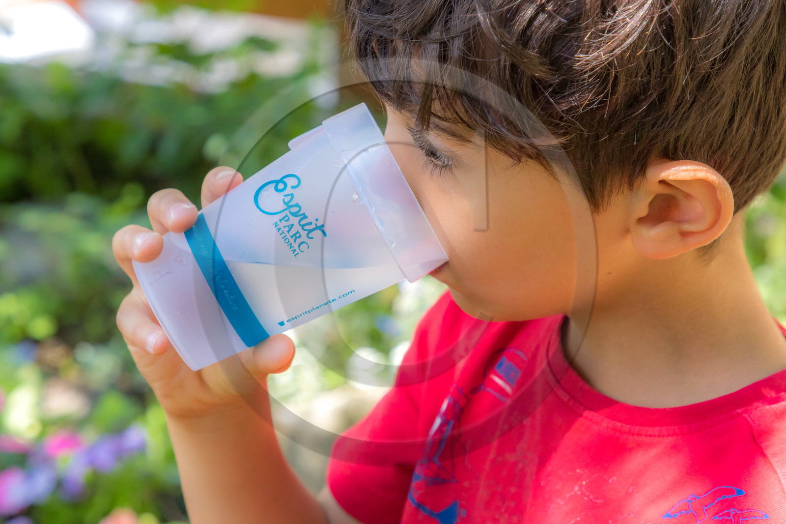Gîte d'étape et de sejour Les Filons