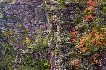 Gorges de Daluis