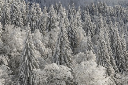 ENS de l'Isère, Les Ecouges