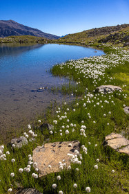 Lac Palluel
