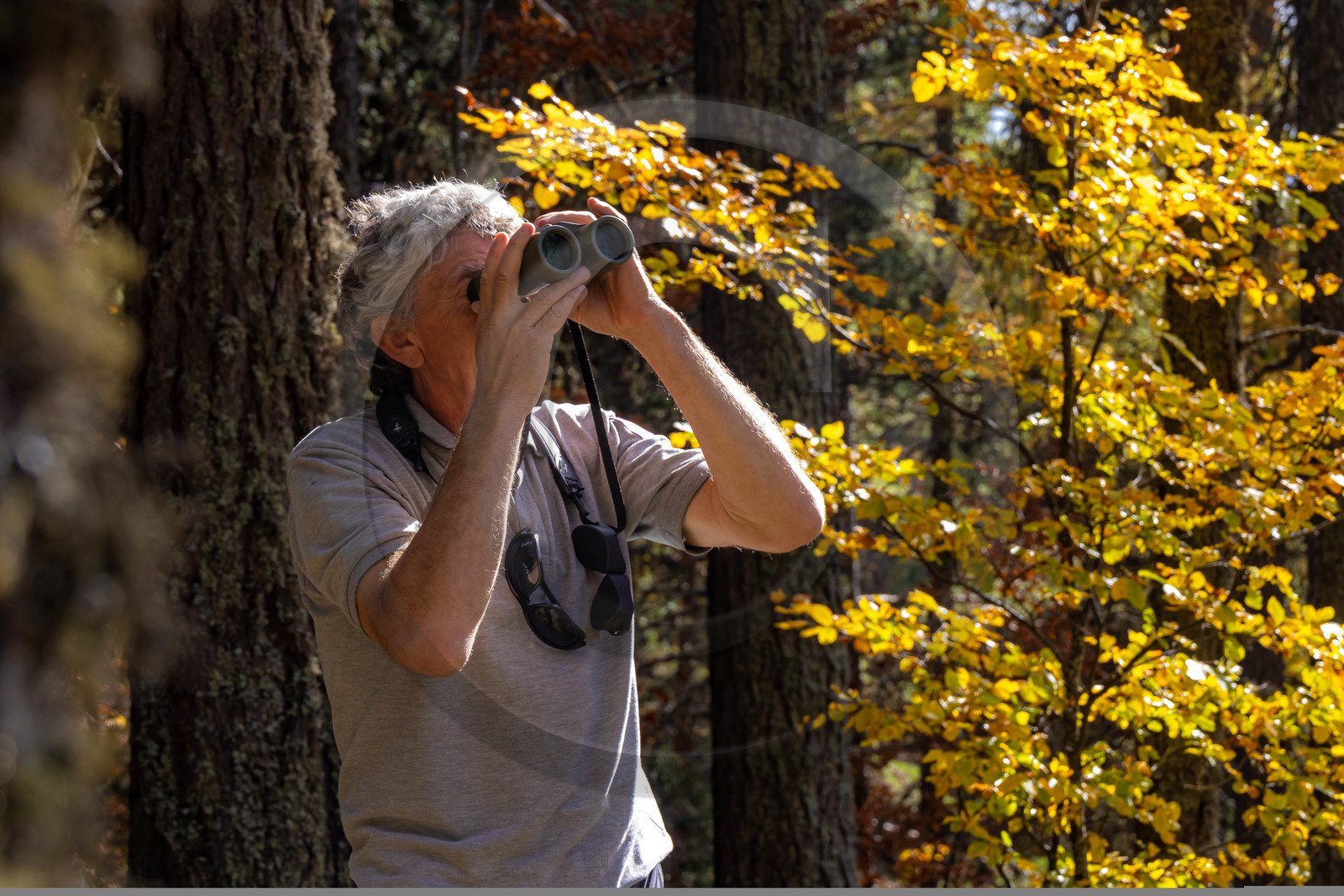 Marc Corail, garde-moniteur du Parc national des Ecrins