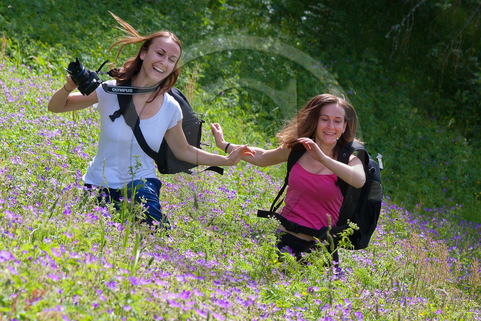 Randonnée champêtre