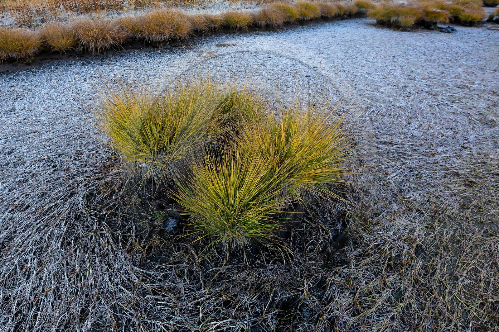 Vallon du Laverq, lac et tourbière Les Eaux-Tortes