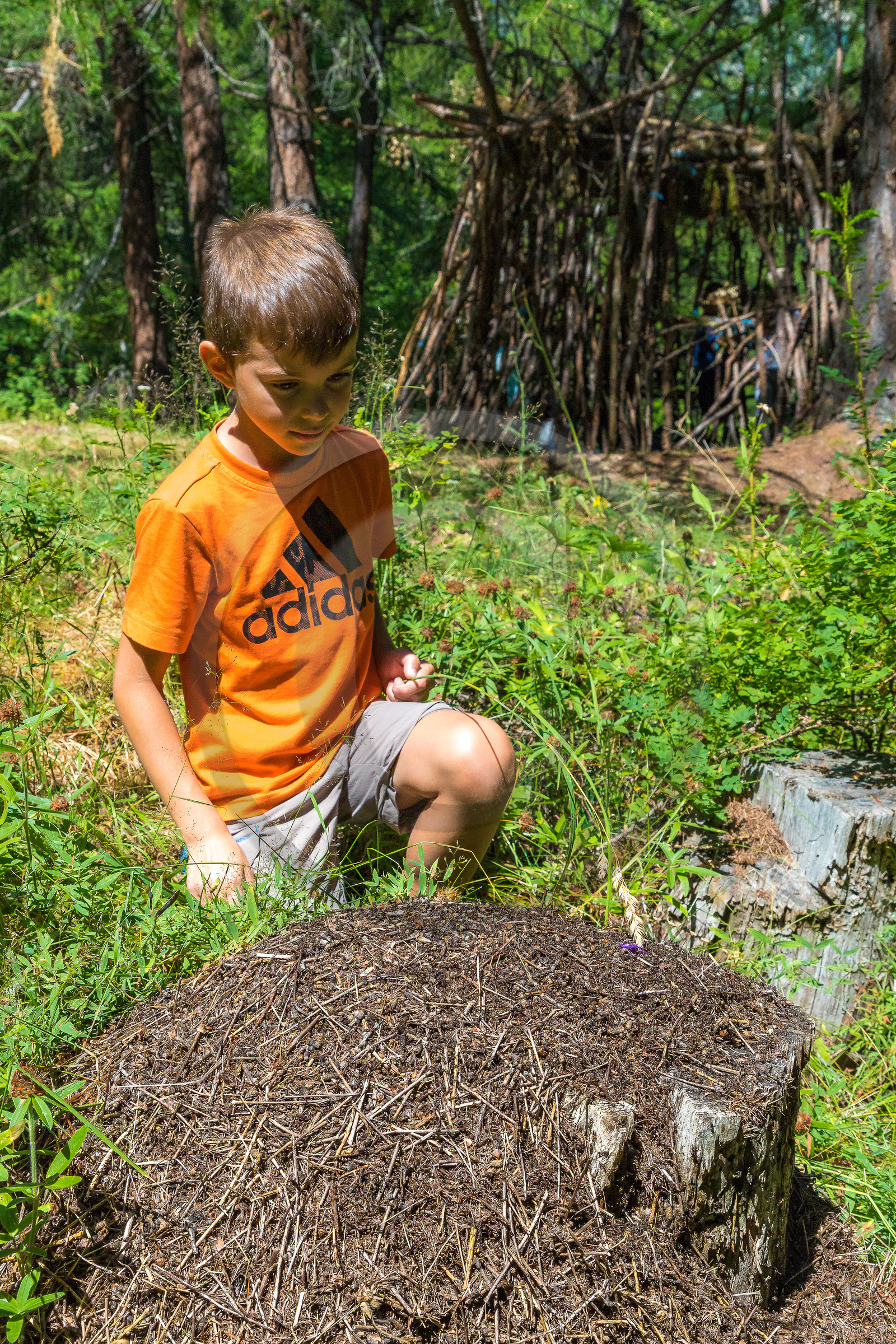 Curieux de nature, sortie découverte avec Cyril Mahout