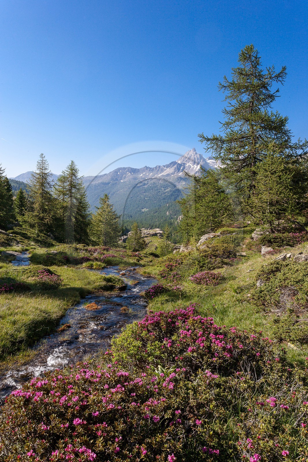 Vallée de la Clarée