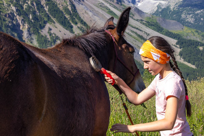 Trek famille avec animaux de bats