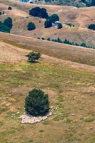 Alpage du Gau
