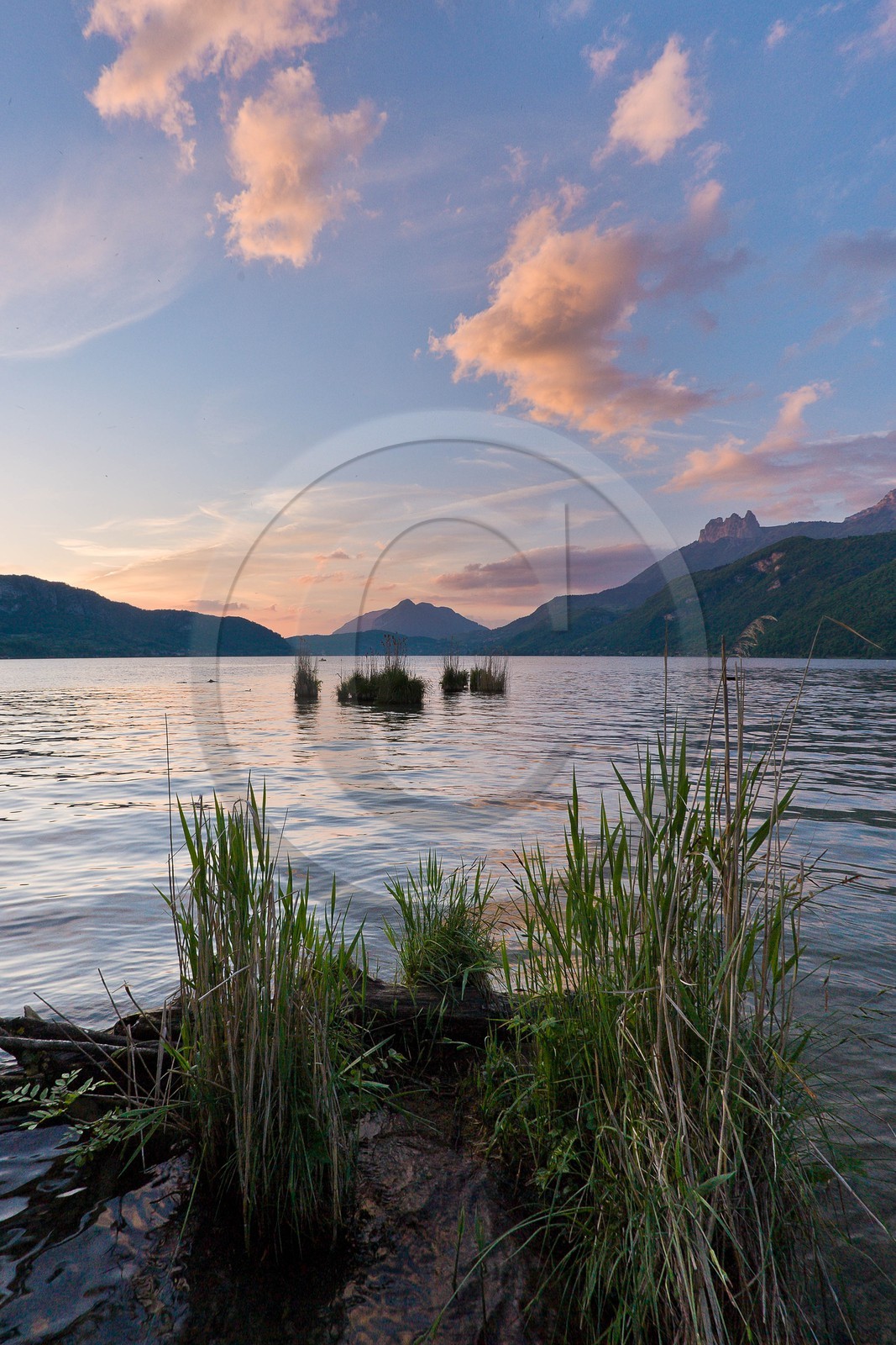 Réserve naturelle du Bout du Lac d'Annecy