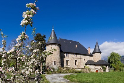 Château de Picomtal,  les jardins du château