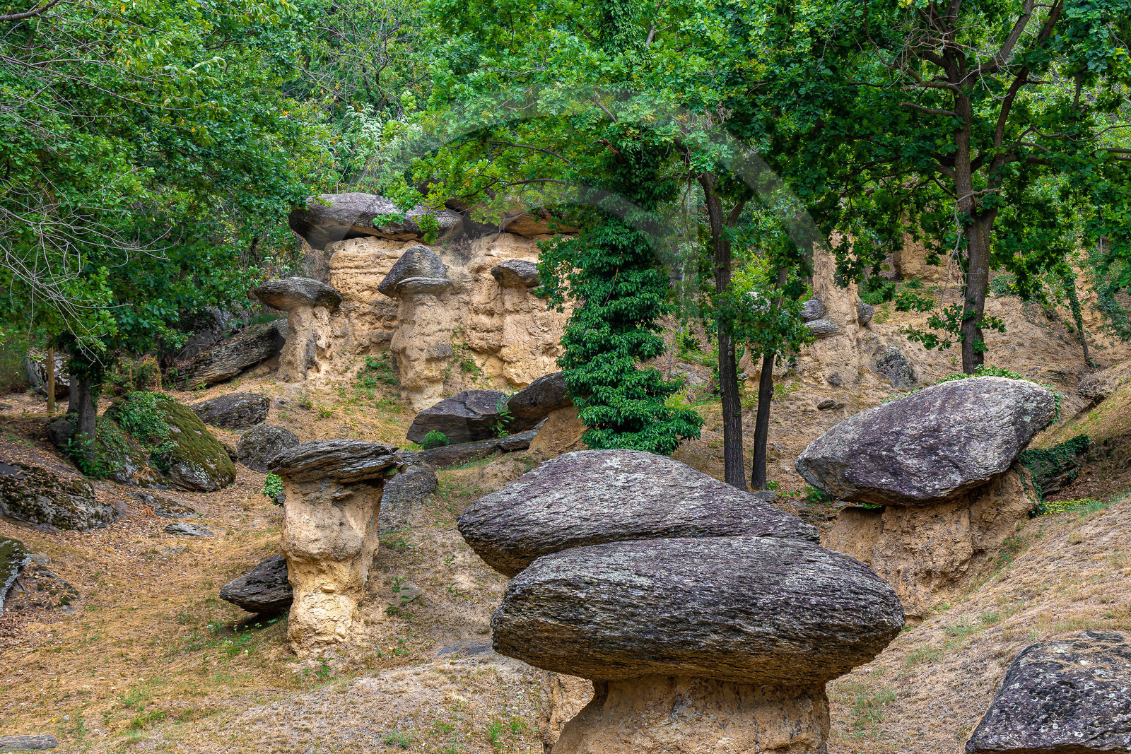 Valle Maira, Villar San Costanzo, Riserva Naturale Ciciu del Villar