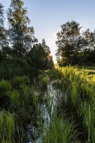 ENS de l'Isère, Marais de Montfort