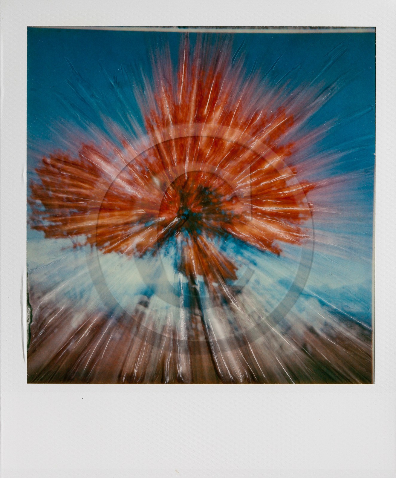 Exposition Arbres et petites forêts, éloge de la biodiversité