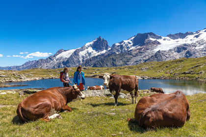 Plateau d'Emparis, randonnée pédestre