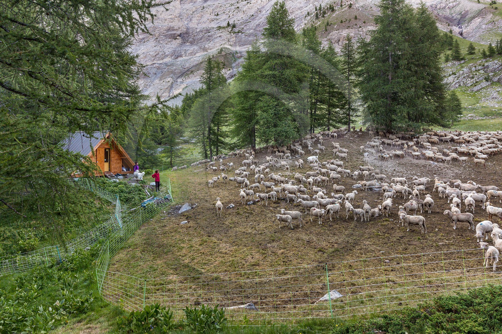 Ubaye, Vallon du Laverq