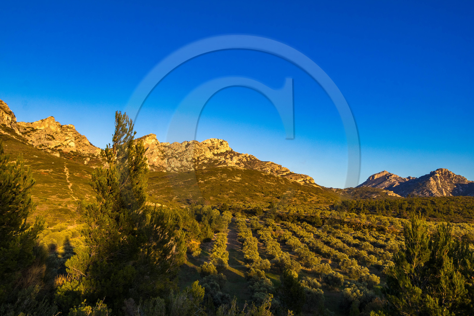 Les Baux de Provence, Domaine La Fabresse
