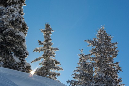 Espace naturel sensible de l'Isère, Col du Coq
