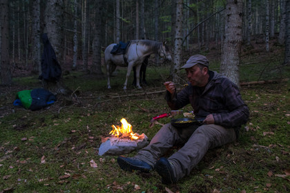Film : La vallée des loups