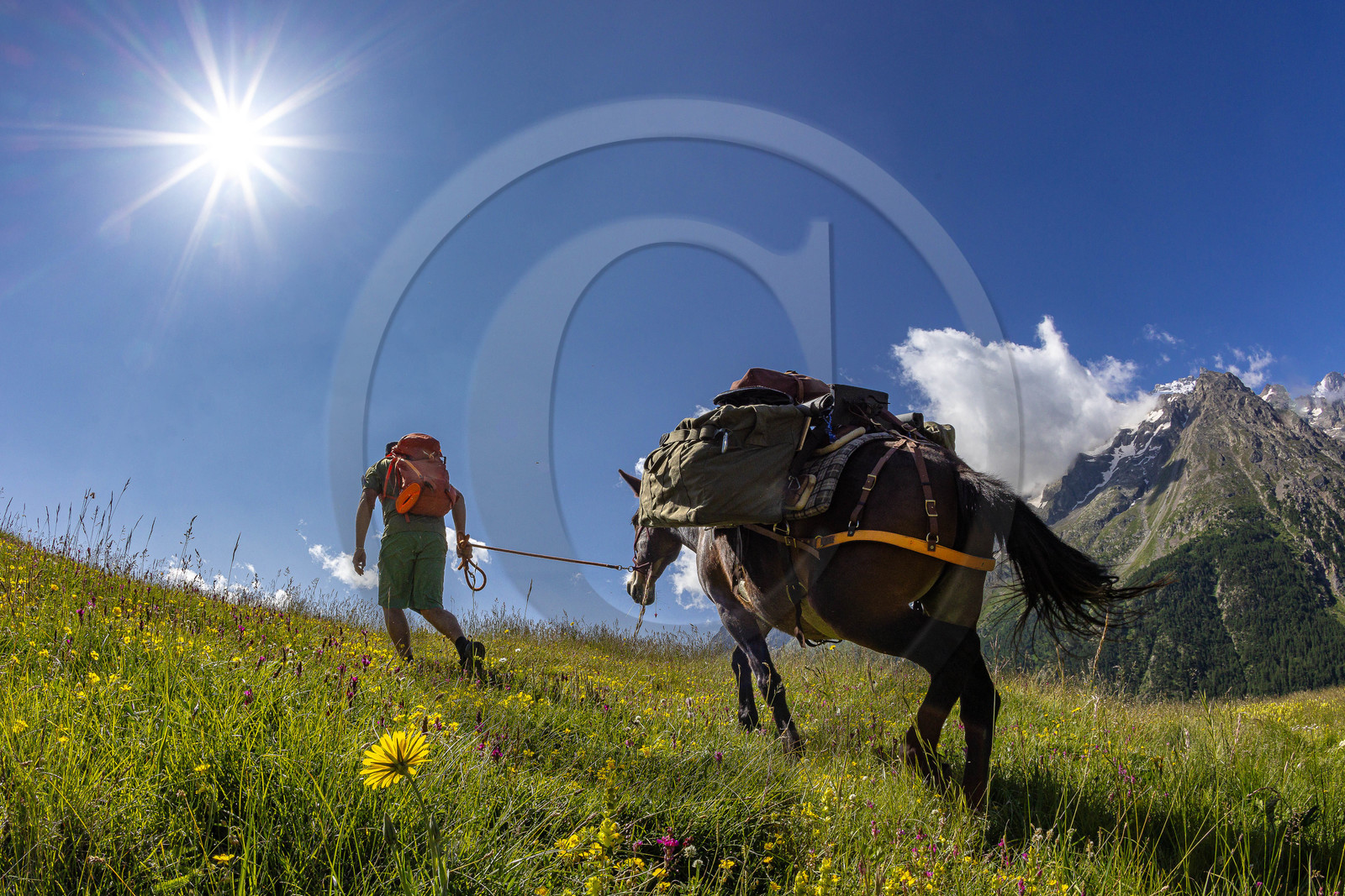 Trek famille avec animaux de bats