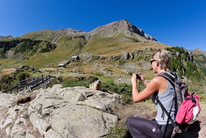 Randonnée vers le Saut du Laire, marmotte