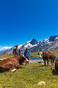 Plateau d'Emparis, randonnée pédestre