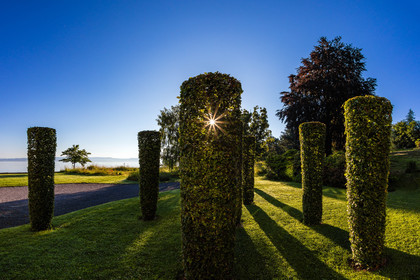 Les jardins de l'eau du Pré Curieux