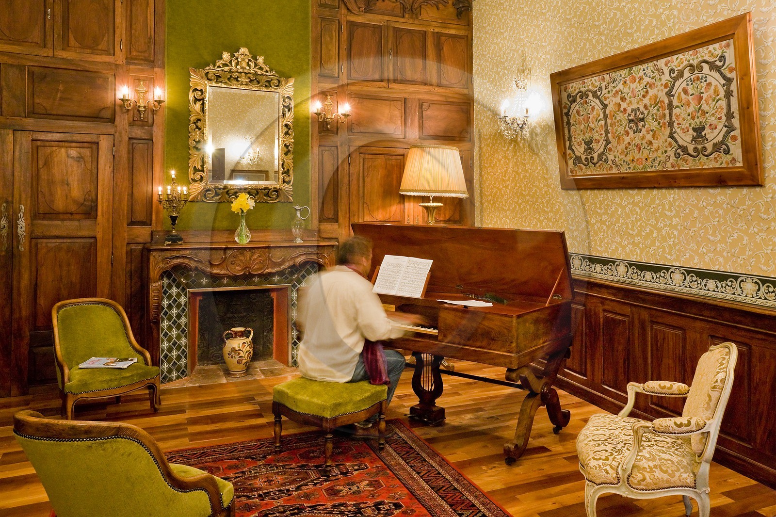 Château de Picomtal, le salon