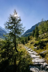 Réserve naturelle du Vallon de Bérard