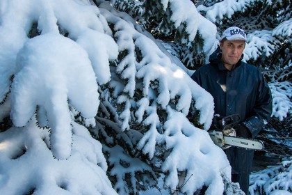 Pépinière Robin, producteur de sapin de Noël