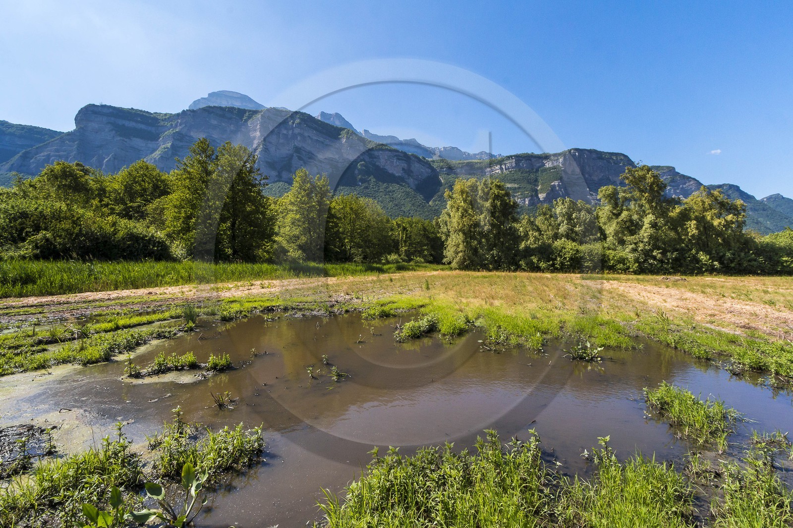 ENS de l'Isère, Marais de Montfort