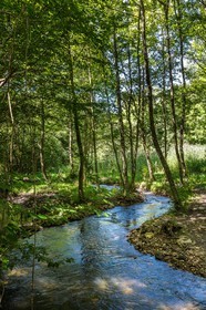 ENS de l'Isère, étang de Cote Manin