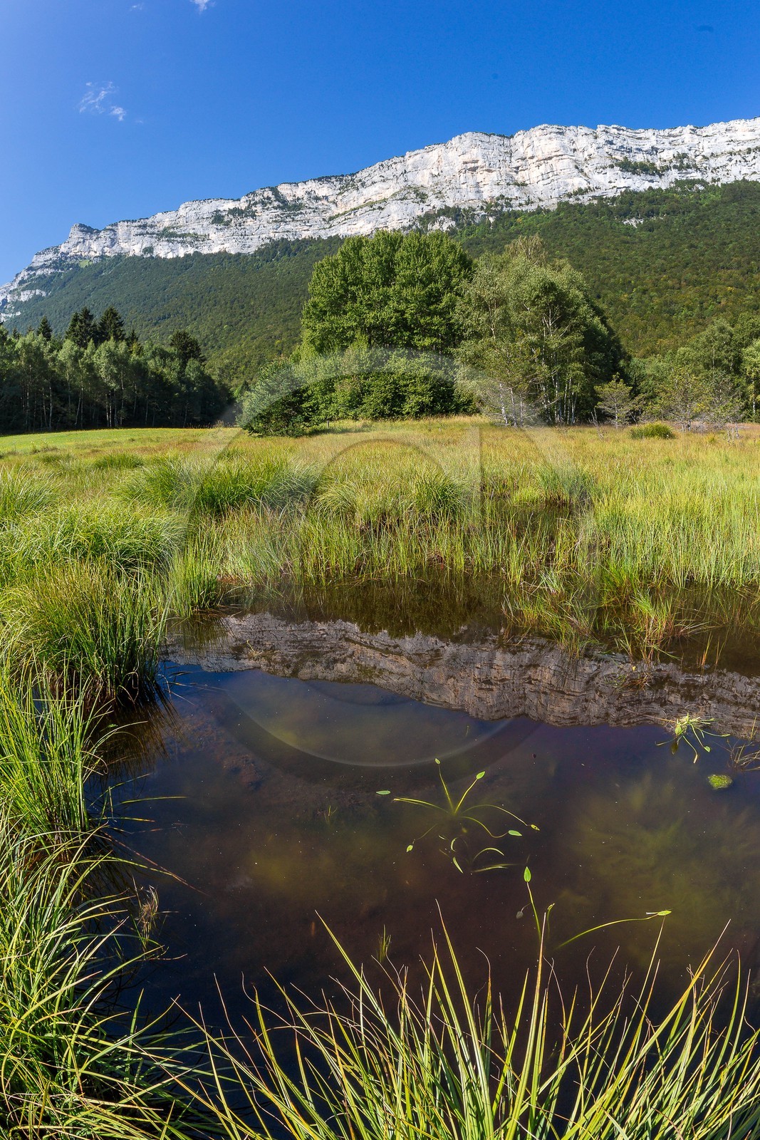 ENS de l'Isère,Tourbières du Peuil