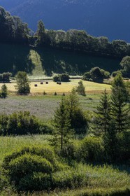 ENS de l'Isère, Marais des Sagnes