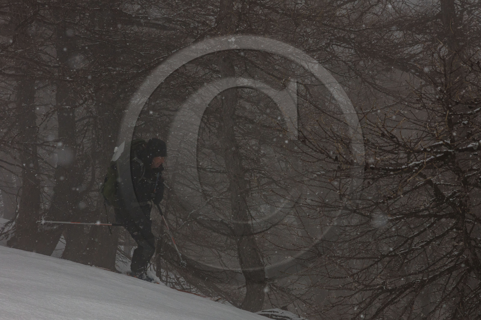 Film : La vallée des loups