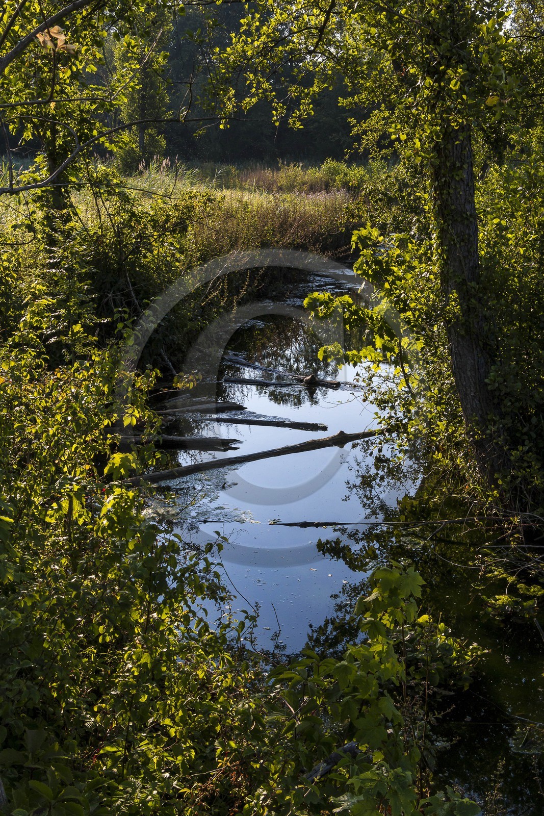 ENS de l'Isère, Prairies inondables de Pont-Évêque