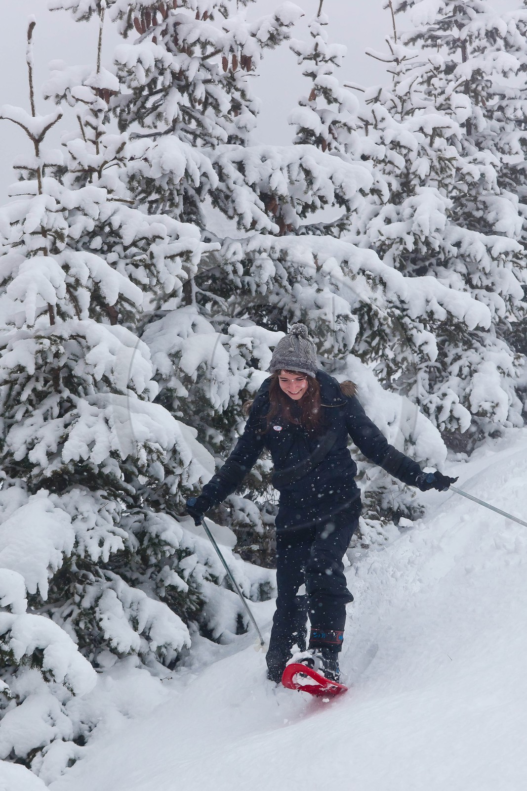 Randonnée, balade en raquettes à neige
