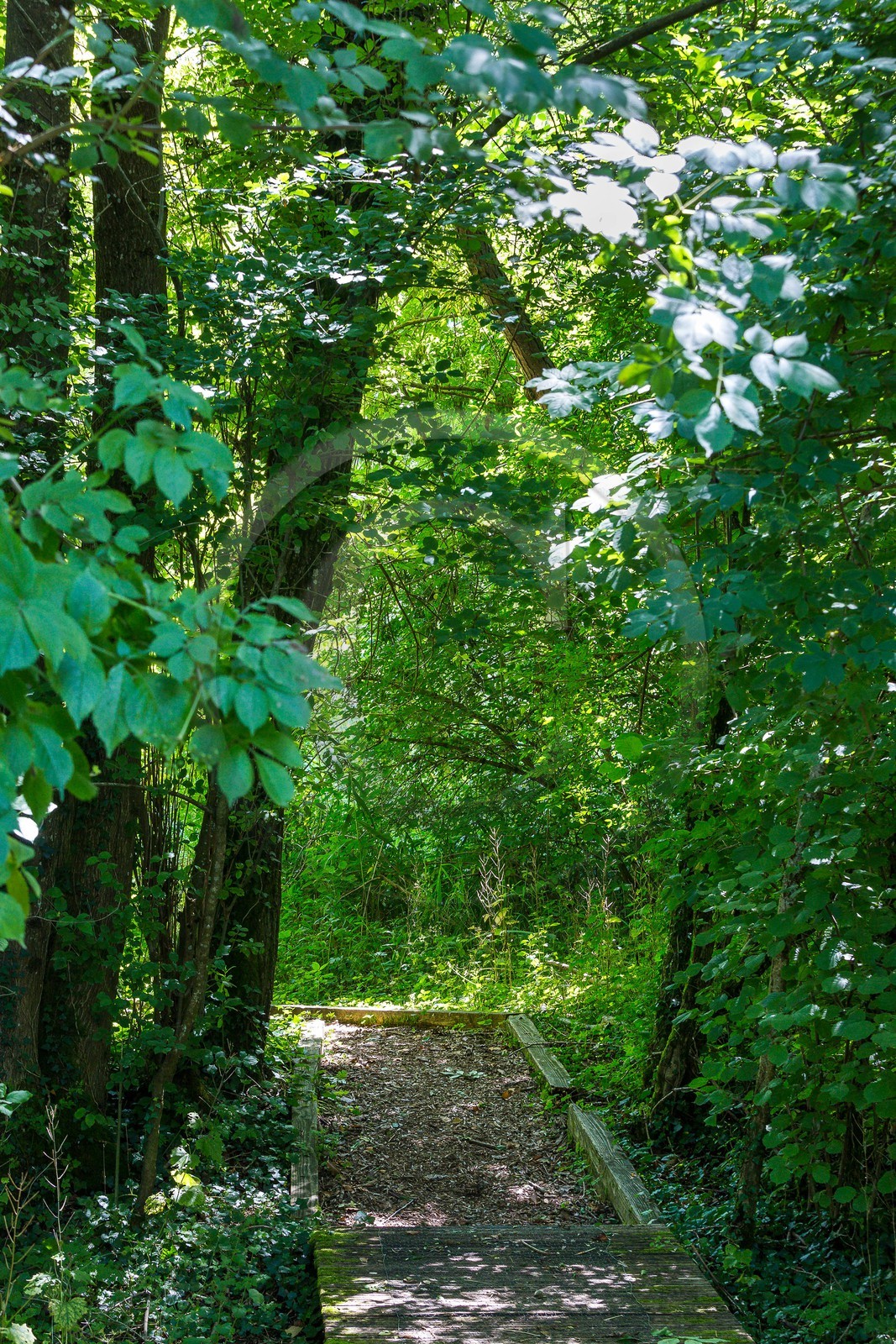 ENS de l'Isère, Marais de Chirens
