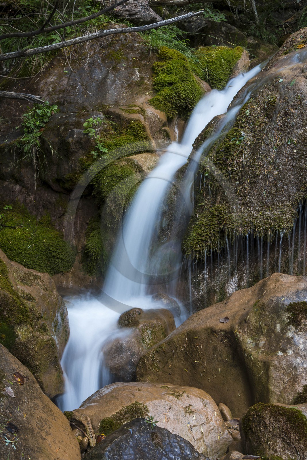 Torrent le Riou du Pont