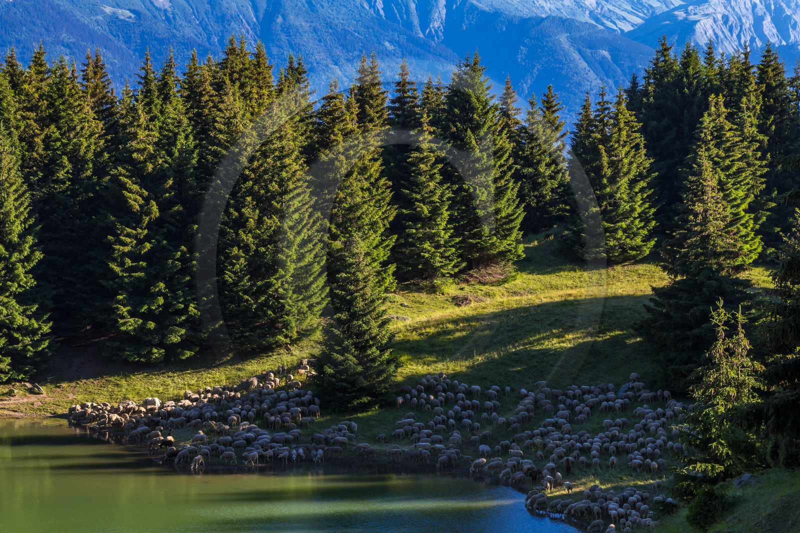 Lac de la Grande Léchère