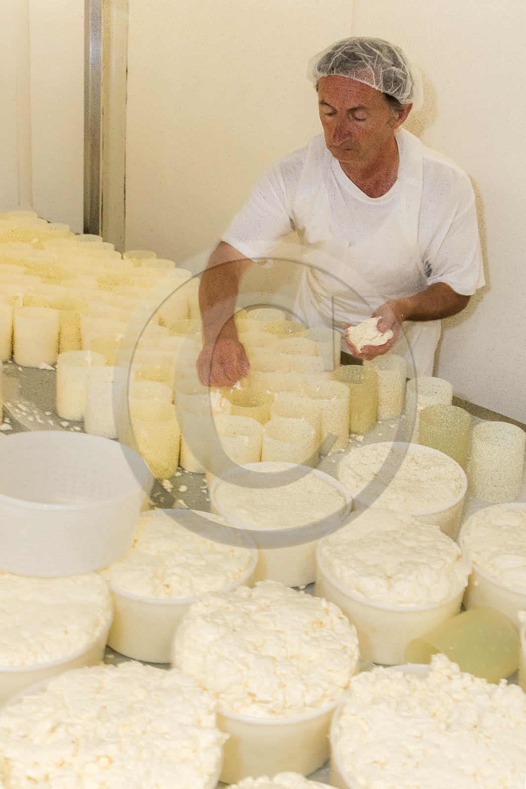 Vallée du Champsaur, fromagerie Ebrard