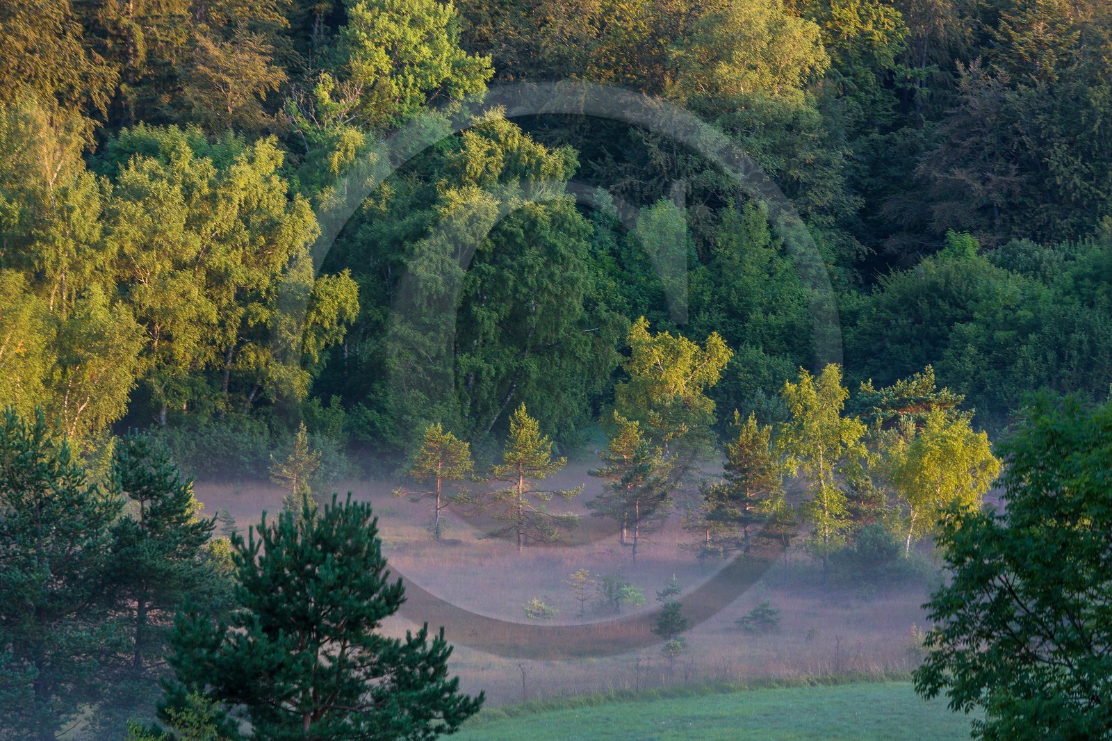 ENS de l'Isère,Tourbières du Peuil