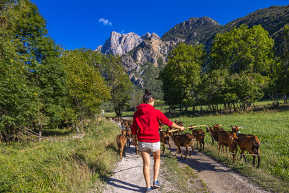 Gaec La Ferme des Ecrins