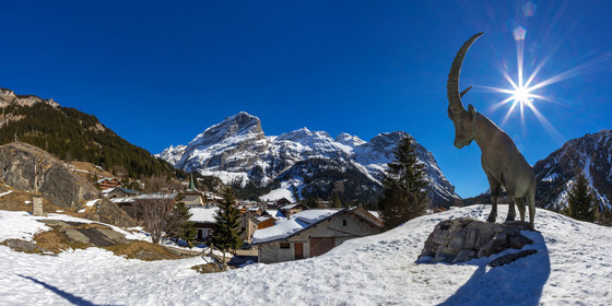 Pralognan-la-Vanoise, bouquetin en bronze