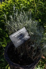 Jardin des Cinq Sens
