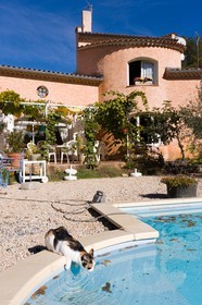 Laragne , Chambre d'hôtes La Désirade