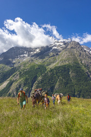 Trek famille avec animaux de bats