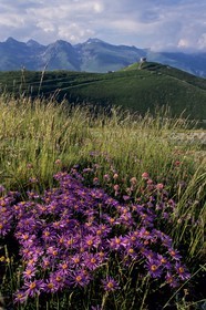 Massif de l'Authion, Redoute des Trois Communes